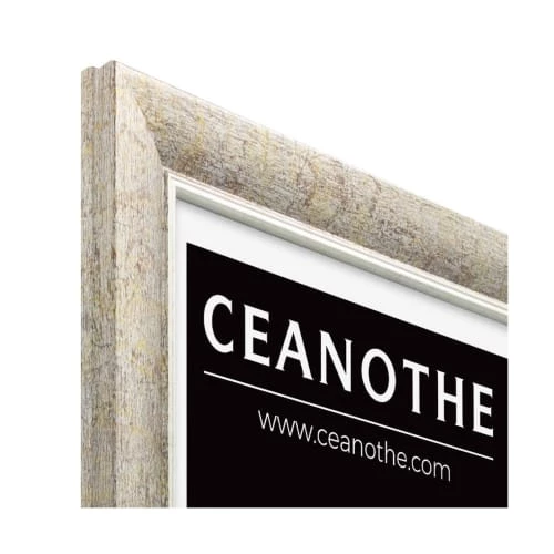 Ceanothe Cadres Et Albums Photos Cadre Photo 40x50 Cm Résine Recyclée 4 Ceanothe Cadres Et Albums Photos Cadre Photo 40x50 Cm Résine Recyclée – Image 4