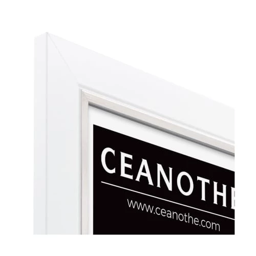 Ceanothe Cadres Et Albums Photos Cadre Photo Blanc Acier 24x30 Cm Bois Massif 6 Ceanothe Cadres Et Albums Photos Cadre Photo Blanc Acier 24x30 Cm Bois Massif – Image 6