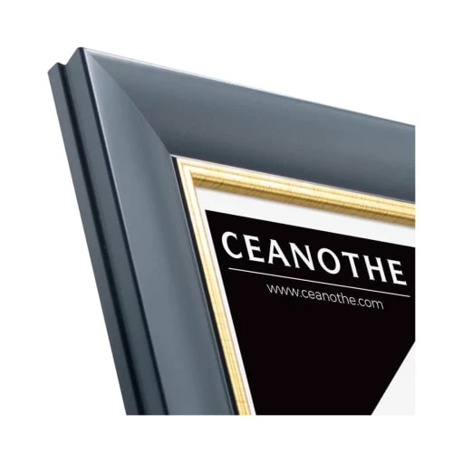 Ceanothe Cadres Et Albums Photos Cadre Photo Bleu Doré 24x30 Cm Résine Recyclée 4 Ceanothe Cadres Et Albums Photos Cadre Photo Bleu Doré 24x30 Cm Résine Recyclée – Image 4