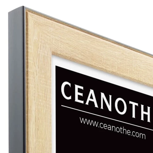 Ceanothe Cadres Et Albums Photos Cadre Photo Bois Noir 18x24 Cm Résine Recyclée 6 Ceanothe Cadres Et Albums Photos Cadre Photo Bois Noir 18x24 Cm Résine Recyclée – Image 6