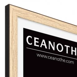 Ceanothe Cadres Et Albums Photos Cadre Photo Bois Noir 60x80 Cm Avec Verre Synthétique Résine Recyclée -Décoration de porte Soldes cadre photo bois noir 60x80 cm avec verre synthetique resine recyclee 5