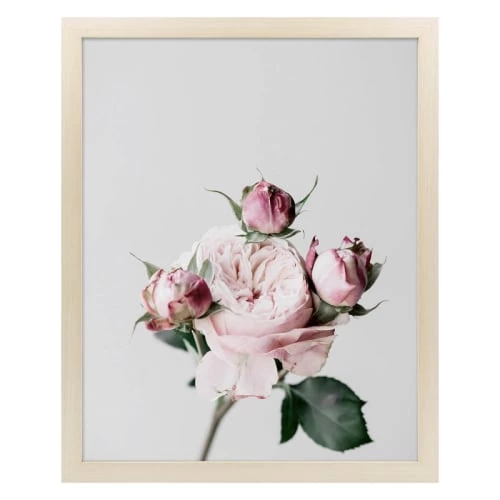 Ceanothe Cadres Et Albums Photos Cadre Photo Brut 40x50 Cm Bois Reconstitué 1 Ceanothe Cadres Et Albums Photos Cadre Photo Brut 40x50 Cm Bois Reconstitué