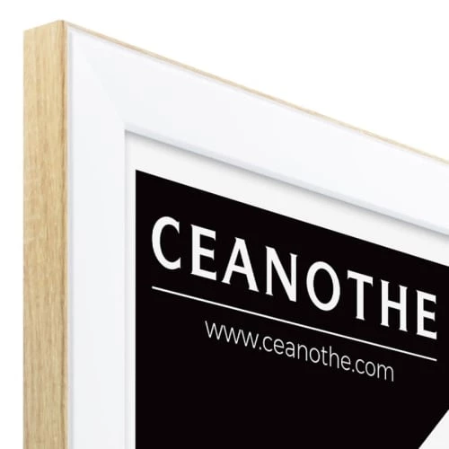 Ceanothe Cadres Et Albums Photos Cadre Photo Brut 40x50 Cm Résine Recyclée 3 Ceanothe Cadres Et Albums Photos Cadre Photo Brut 40x50 Cm Résine Recyclée – Image 3