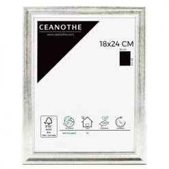 Ceanothe Cadres Et Albums Photos Cadre Photo Classique Argent 18x24 Cm