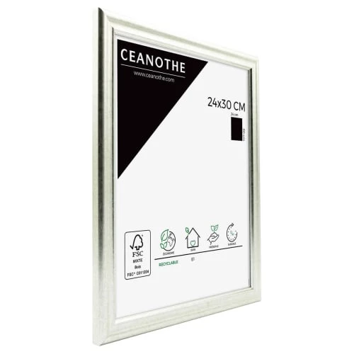 Ceanothe Cadres Et Albums Photos Cadre Photo Classique Argent 24x30 Cm 5 Ceanothe Cadres Et Albums Photos Cadre Photo Classique Argent 24x30 Cm – Image 5