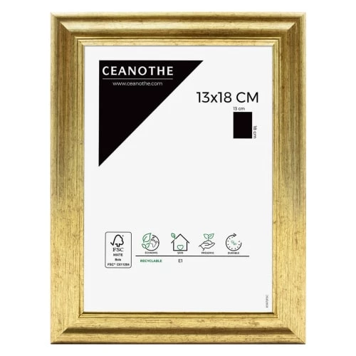 Ceanothe Cadres Et Albums Photos Cadre Photo Classique Doré 13x18 Cm 1 Ceanothe Cadres Et Albums Photos Cadre Photo Classique Doré 13x18 Cm