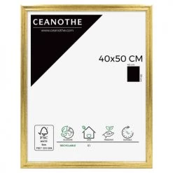 Ceanothe Cadres Et Albums Photos Cadre Photo Classique Doré 40x50 Cm