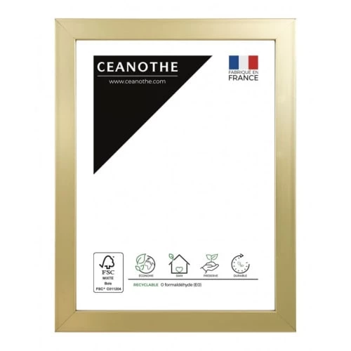 Ceanothe Cadres Et Albums Photos Cadre Photo Doré 10x15 Cm Résine Recyclée 1 Ceanothe Cadres Et Albums Photos Cadre Photo Doré 10x15 Cm Résine Recyclée