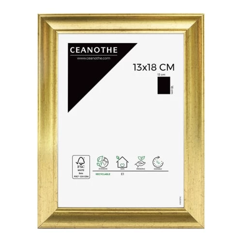 Ceanothe Cadres Et Albums Photos Cadre Photo Doré 13x18 Cm Résine Recyclée 1 Ceanothe Cadres Et Albums Photos Cadre Photo Doré 13x18 Cm Résine Recyclée