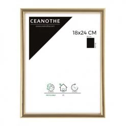 Ceanothe Cadres Et Albums Photos Cadre Photo Doré 18x24 Cm Résine Plastique