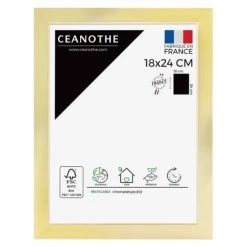 Ceanothe Cadres Et Albums Photos Cadre Photo Doré 18x24 Cm Résine Recyclée