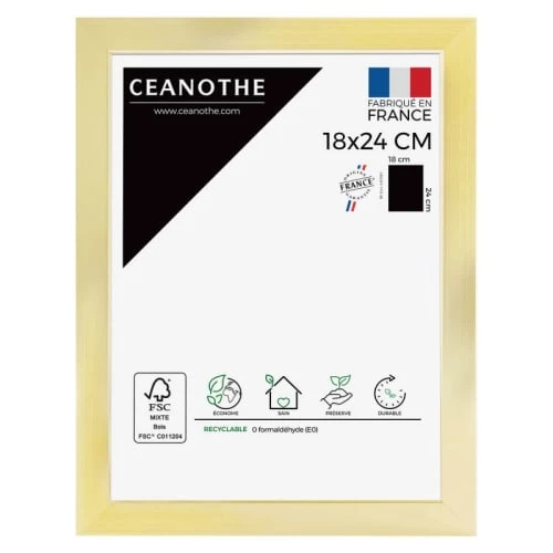 Ceanothe Cadres Et Albums Photos Cadre Photo Doré 18x24 Cm Résine Recyclée 1 Ceanothe Cadres Et Albums Photos Cadre Photo Doré 18x24 Cm Résine Recyclée