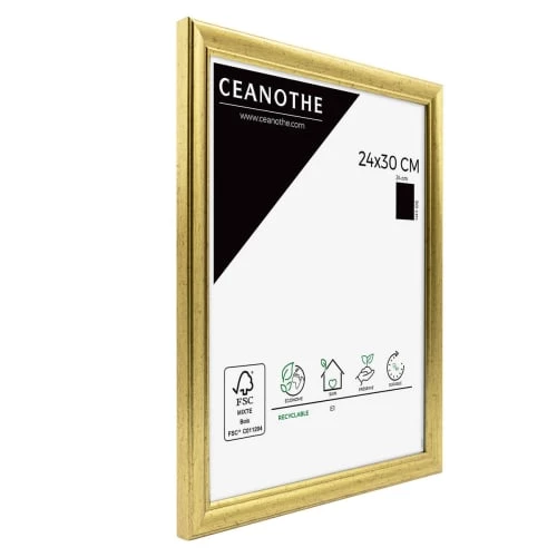 Ceanothe Cadres Et Albums Photos Cadre Photo Doré 24x30 Cm Résine Recyclée 5 Ceanothe Cadres Et Albums Photos Cadre Photo Doré 24x30 Cm Résine Recyclée – Image 5