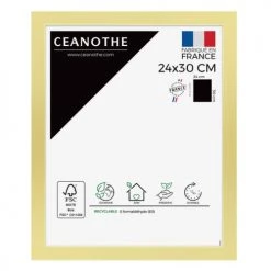 Ceanothe Cadres Et Albums Photos Cadre Photo Doré 24x30 Cm Résine Recyclée