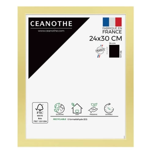 Ceanothe Cadres Et Albums Photos Cadre Photo Doré 24x30 Cm Résine Recyclée 1 Ceanothe Cadres Et Albums Photos Cadre Photo Doré 24x30 Cm Résine Recyclée