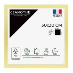 Ceanothe Cadres Et Albums Photos Cadre Photo Doré 30x30 Cm Résine Recyclée