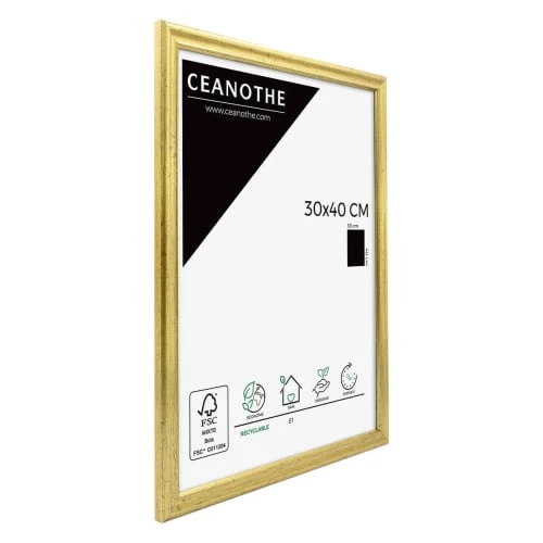 Ceanothe Cadres Et Albums Photos Cadre Photo Doré 30x40 Cm Résine Recyclée 2 Ceanothe Cadres Et Albums Photos Cadre Photo Doré 30x40 Cm Résine Recyclée – Image 2