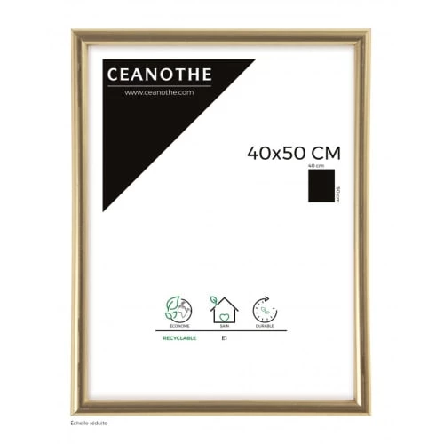 Ceanothe Cadres Et Albums Photos Cadre Photo Doré 40x50 Cm Résine Plastique 1 Ceanothe Cadres Et Albums Photos Cadre Photo Doré 40x50 Cm Résine Plastique