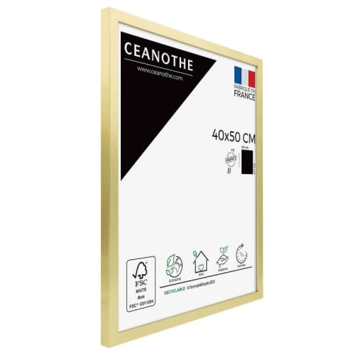 Ceanothe Cadres Et Albums Photos Cadre Photo Doré 40x50 Cm Résine Recyclée 2 Ceanothe Cadres Et Albums Photos Cadre Photo Doré 40x50 Cm Résine Recyclée – Image 2