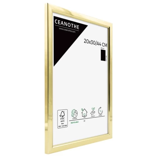 Ceanothe Cadres Et Albums Photos Cadre Photo Doré Résine Plastique 20x30 2 Ceanothe Cadres Et Albums Photos Cadre Photo Doré Résine Plastique 20x30 – Image 2