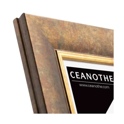 Ceanothe Cadres Et Albums Photos Cadre Photo Filet Doré 20x30 Cm Résine Recyclée 4 Ceanothe Cadres Et Albums Photos Cadre Photo Filet Doré 20x30 Cm Résine Recyclée – Image 4