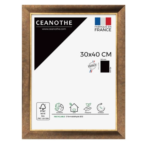 Ceanothe Cadres Et Albums Photos Cadre Photo Filet Doré 30x40 Cm Résine Recyclée 1 Ceanothe Cadres Et Albums Photos Cadre Photo Filet Doré 30x40 Cm Résine Recyclée