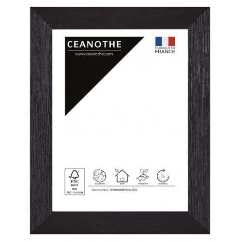 Ceanothe Cadres Et Albums Photos Cadre Photo Noir 10x15 Cm Bois Reconstitué 1 Ceanothe Cadres Et Albums Photos Cadre Photo Noir 10x15 Cm Bois Reconstitué