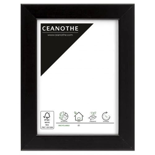 Ceanothe Cadres Et Albums Photos Cadre Photo Noir 10x15 Cm Bois Reconstitué 1 Ceanothe Cadres Et Albums Photos Cadre Photo Noir 10x15 Cm Bois Reconstitué