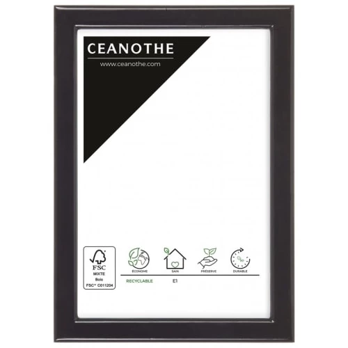 Ceanothe Cadres Et Albums Photos Cadre Photo Noir 10x15 Cm Résine Recyclée 1 Ceanothe Cadres Et Albums Photos Cadre Photo Noir 10x15 Cm Résine Recyclée