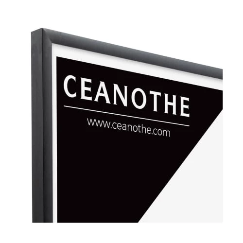 Ceanothe Cadres Et Albums Photos Cadre Photo Noir 13x18 Cm Aluminium 6 Ceanothe Cadres Et Albums Photos Cadre Photo Noir 13x18 Cm Aluminium – Image 6