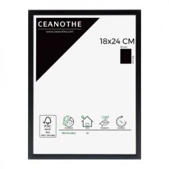 Ceanothe Cadres Et Albums Photos Cadre Photo Noir 18x24 Cm Aluminium