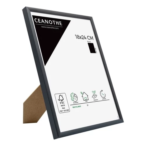 Ceanothe Cadres Et Albums Photos Cadre Photo Noir 18x24 Cm Aluminium 5 Ceanothe Cadres Et Albums Photos Cadre Photo Noir 18x24 Cm Aluminium – Image 5