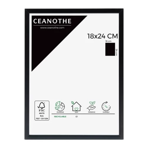 Ceanothe Cadres Et Albums Photos Cadre Photo Noir 18x24 Cm Aluminium 1 Ceanothe Cadres Et Albums Photos Cadre Photo Noir 18x24 Cm Aluminium