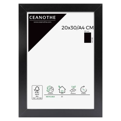 Ceanothe Cadres Et Albums Photos Cadre Photo Noir 20x30 Cm Bois Reconstitué 1 Ceanothe Cadres Et Albums Photos Cadre Photo Noir 20x30 Cm Bois Reconstitué