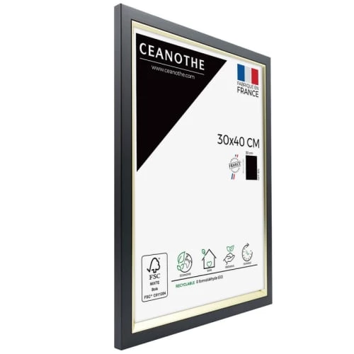 Ceanothe Cadres Et Albums Photos Cadre Photo Noir Doré 30x40 Cm Résine Recyclée 2 Ceanothe Cadres Et Albums Photos Cadre Photo Noir Doré 30x40 Cm Résine Recyclée – Image 2