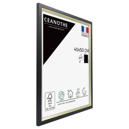 Ceanothe Cadres Et Albums Photos Cadre Photo Noir Doré 40x50 Cm Résine Recyclée 5 Ceanothe Cadres Et Albums Photos Cadre Photo Noir Doré 40x50 Cm Résine Recyclée – Image 5