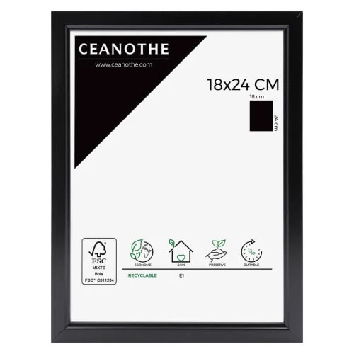 Ceanothe Cadres Et Albums Photos Cadre Photo Noir Résine Plastique 18x24 1 Ceanothe Cadres Et Albums Photos Cadre Photo Noir Résine Plastique 18x24