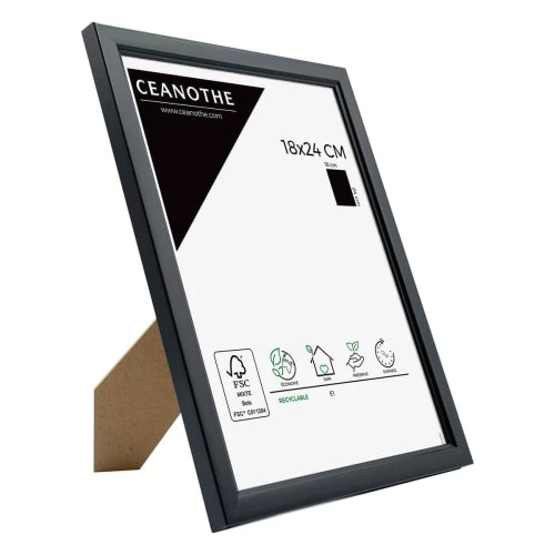Ceanothe Cadres Et Albums Photos Cadre Photo Noir Résine Plastique 18x24 2 Ceanothe Cadres Et Albums Photos Cadre Photo Noir Résine Plastique 18x24 – Image 2