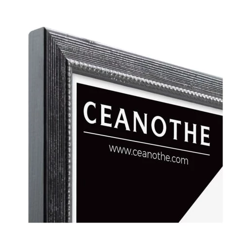 Ceanothe Cadres Et Albums Photos Cadre Photo Perle Noir 30x40 Cm 4 Ceanothe Cadres Et Albums Photos Cadre Photo Perle Noir 30x40 Cm – Image 4