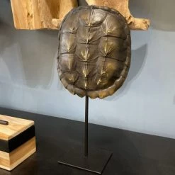 Now’s Home Bustes Et Statues Carapace De Tortue En Résine Sur Socle En Métal -Décoration de porte Soldes carapace de tortue en resine sur socle en metal 3