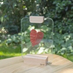 Reine Mère Cadres Et Albums Photos Porte Photo Verrière Pince Bois 21x15cm -Décoration de porte Soldes porte photo verriere pince bois 21x15cm 3