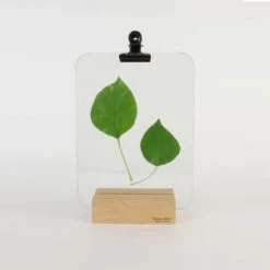 Reine Mère Cadres Et Albums Photos Porte Photo Verrière Pince Noire 21x15cm 8 Reine Mère Cadres Et Albums Photos Porte Photo Verrière Pince Noire 21x15cm -Décoration de porte Soldes porte photo verriere pince noire 21x15cm 2