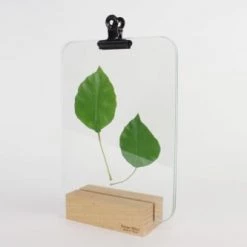 Reine Mère Cadres Et Albums Photos Porte Photo Verrière Pince Noire 21x15cm 9 Reine Mère Cadres Et Albums Photos Porte Photo Verrière Pince Noire 21x15cm -Décoration de porte Soldes porte photo verriere pince noire 21x15cm 3