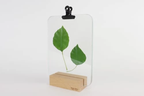 Reine Mère Cadres Et Albums Photos Porte Photo Verrière Pince Noire 21x15cm 4 Reine Mère Cadres Et Albums Photos Porte Photo Verrière Pince Noire 21x15cm – Image 4