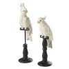 Maisons Du Monde Bustes Et Statues Statues Perroquets écrues Et Noires H51 (x2)