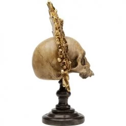 Kare Design Bustes Et Statues Statuette Crâne Avec Couronne En Polyrésine H42 -Décoration de porte Soldes statuette crane avec couronne en polyresine h42 4