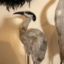 Now’s Home Bustes Et Statues Statuette Héron Nuances Grises Et Noires En Plumes H100 -Décoration de porte Soldes statuette heron nuances grises et noires en plumes h100 2